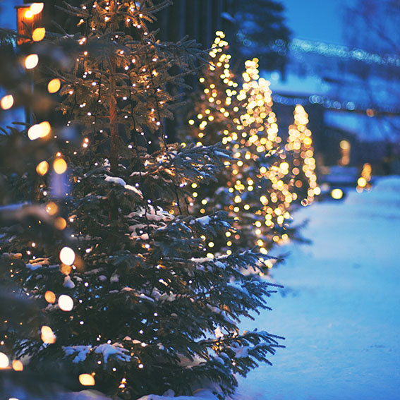 Closeup of lights on a Christmas tree background