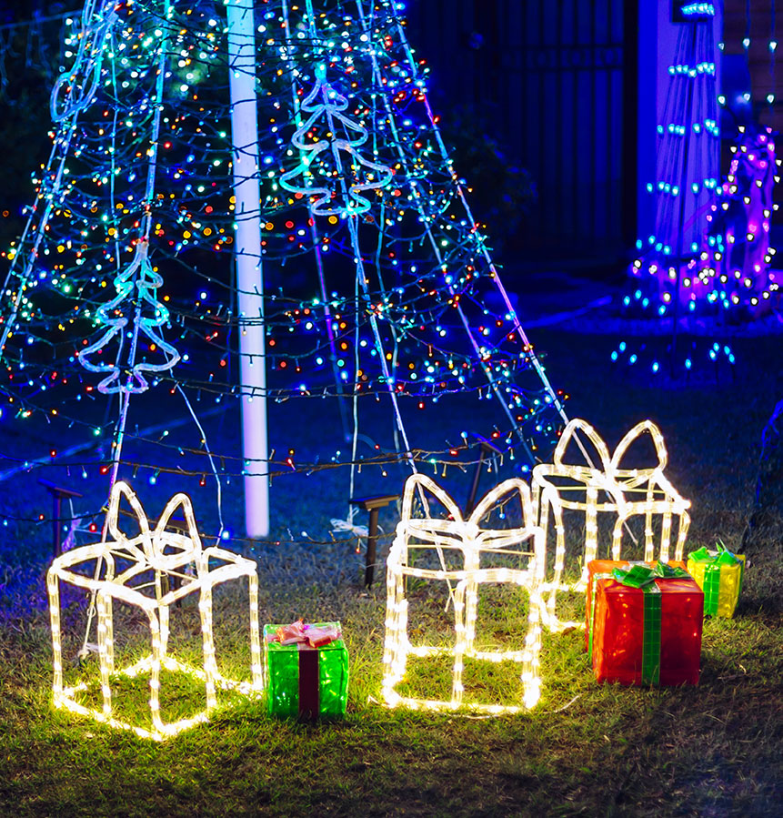 Christmas lights in garden.