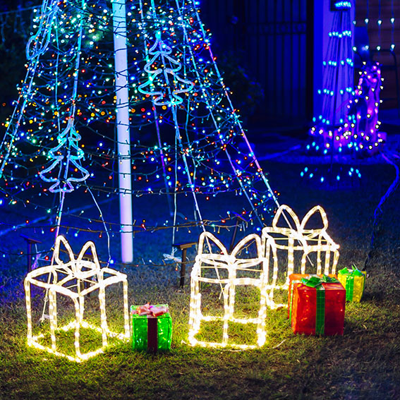 Christmas lights in garden.