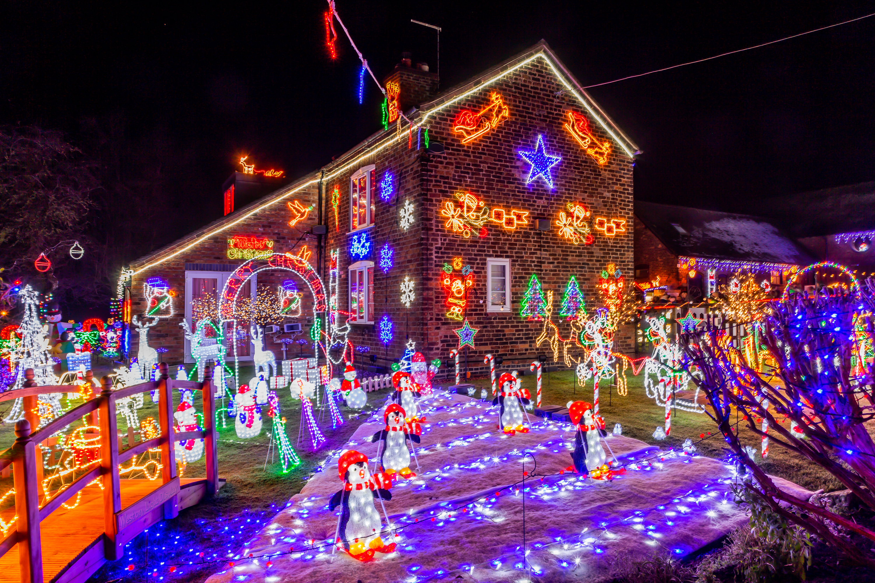 1st Front Garden Large Display - Weston Lights - Crewe