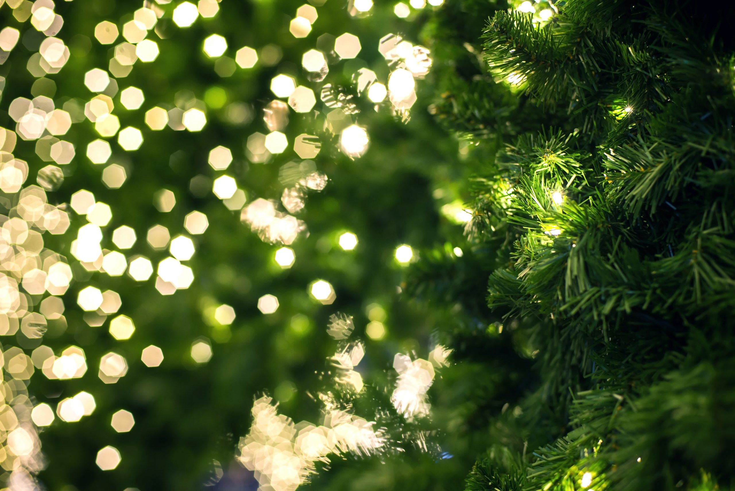 Close up of a green Christmas tree.