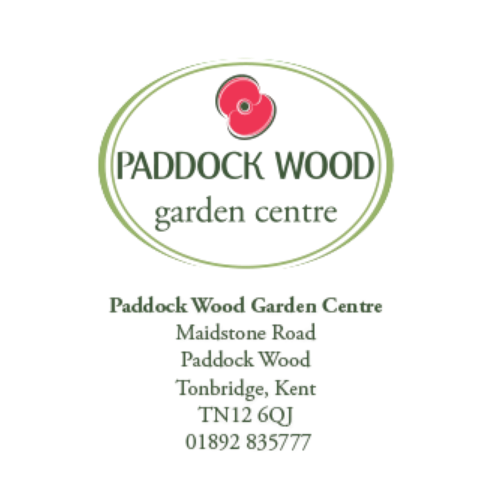 Paddock Wood (2)
