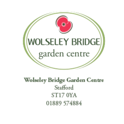 Wolseley Bridge (2)