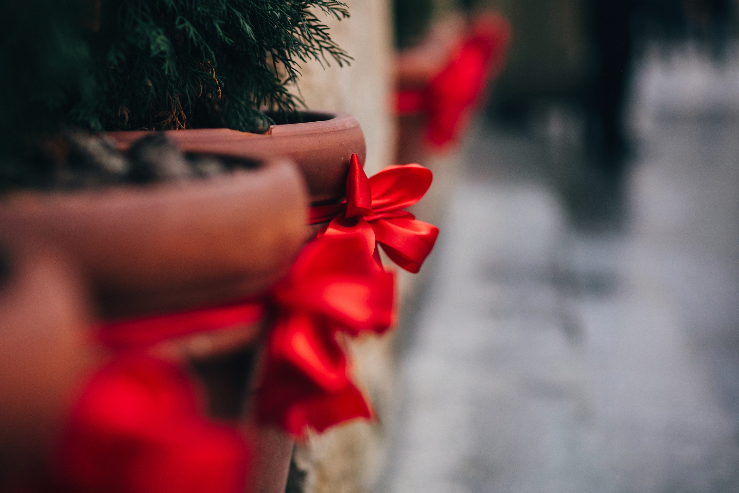 Stylish christmas decorations, green christmas trees with red bows and ornaments in european city street. Festive creative decor in city center, winter holidays. Christmas trees in pots