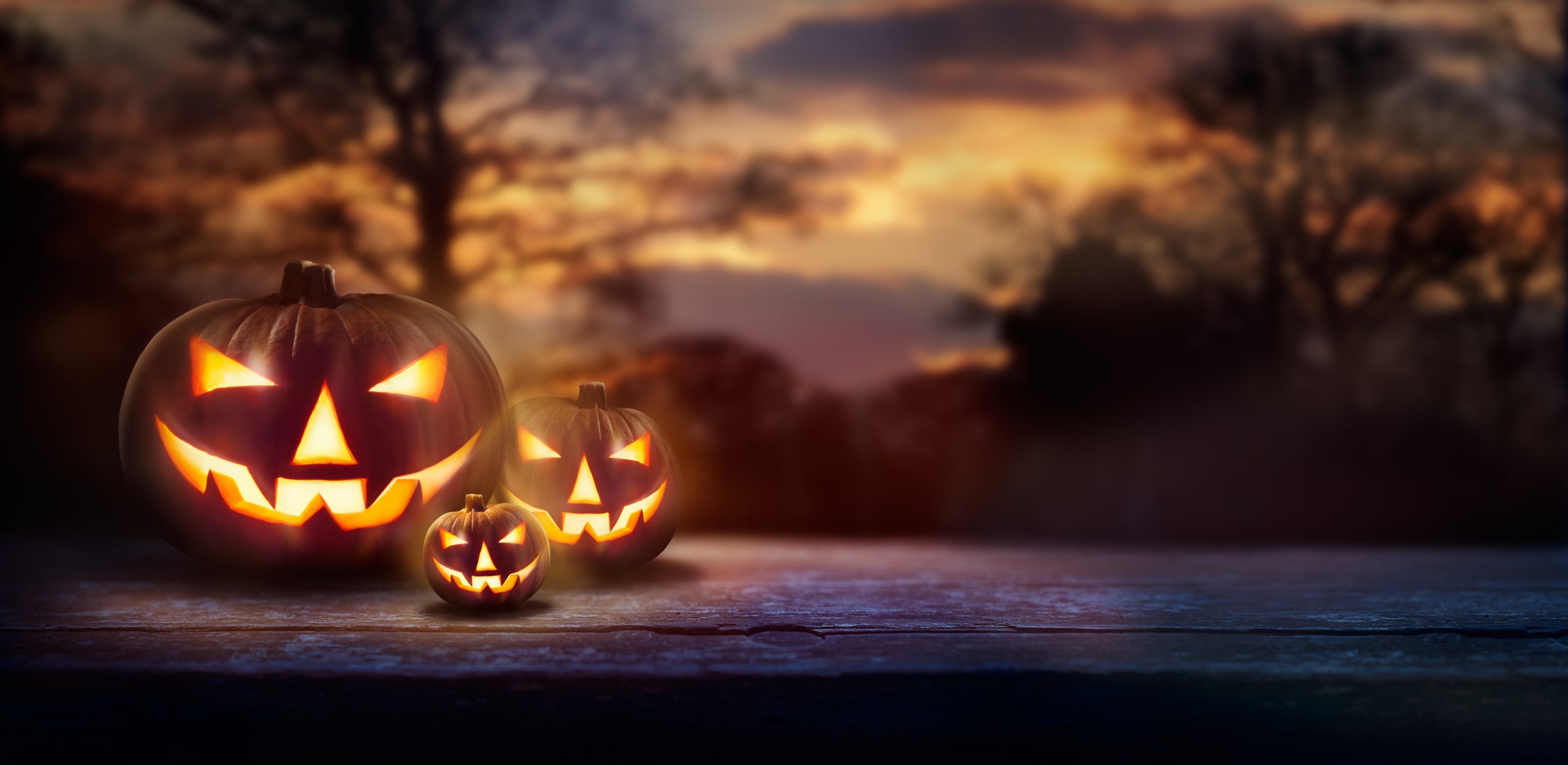 A woodland sunset with the spooky evil glowing eyes of Jack O' Lanterns on the left of a wooden bench on halloween night.