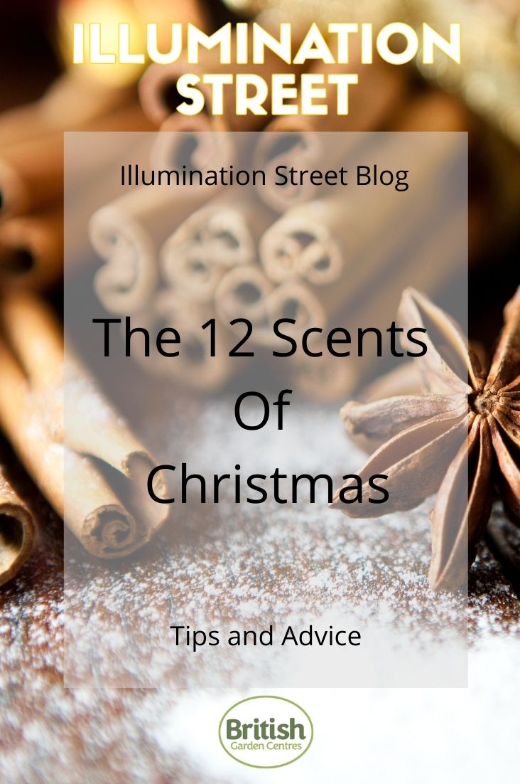 CultivationStreet Blog (10) CultivationStreet Blog (10)