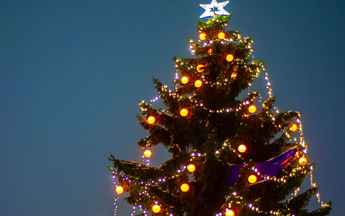 lights wrapped around christmas tree